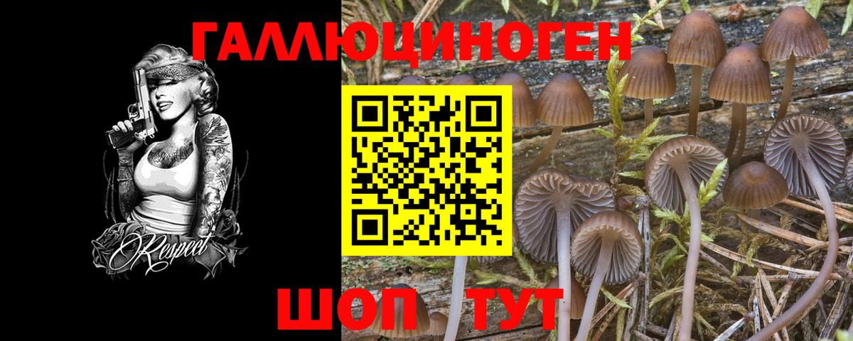 Галлюциногенные грибы MAGIC MUSHROOMS Абакан