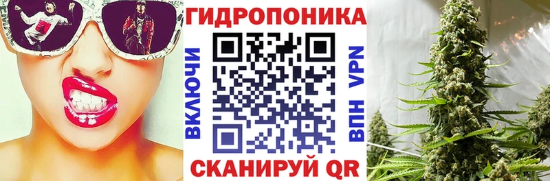 Бошки марихуана OG Kush  Абакан 